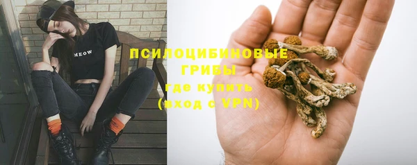 PSILOCYBIN Бугульма