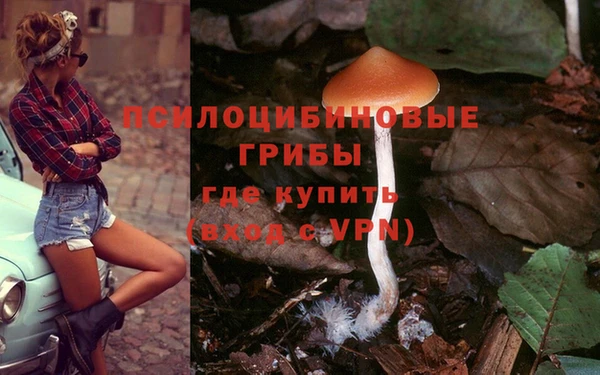 таблы Богданович