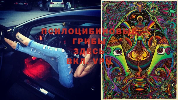 таблы Богданович