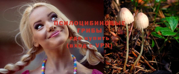 таблы Богданович
