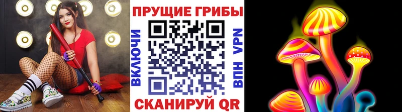 Галлюциногенные грибы Psilocybe  Купить  Лениногорск 